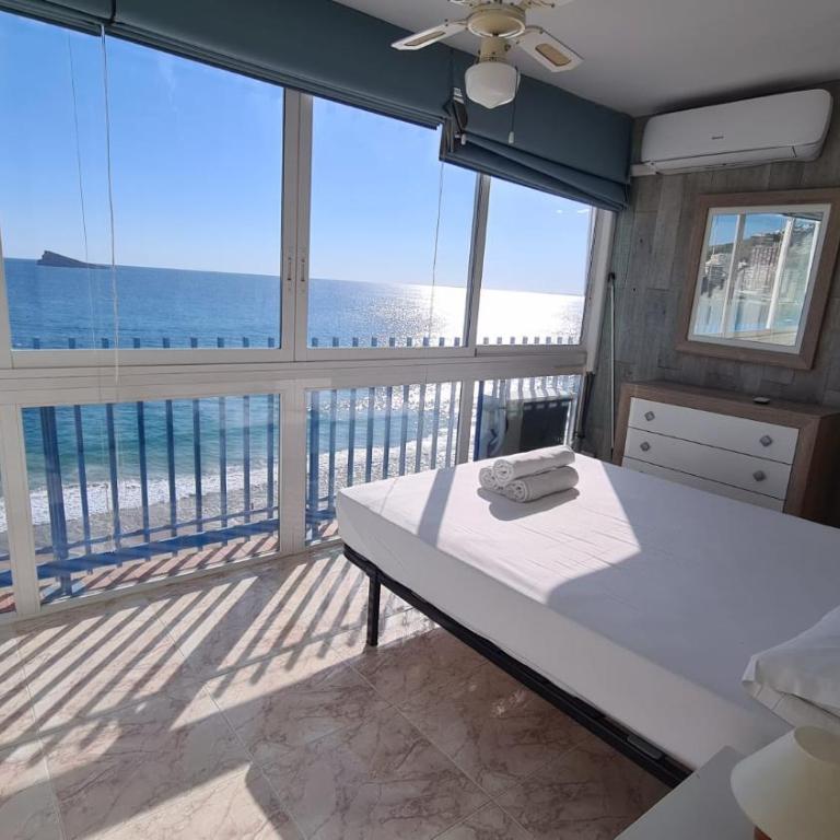 Estudio Las Palmeras 12 IF Benidorm - Apartment - 1