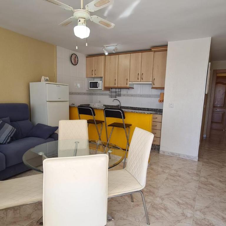Estudio Las Palmeras 12 IF Benidorm - Apartment - 5