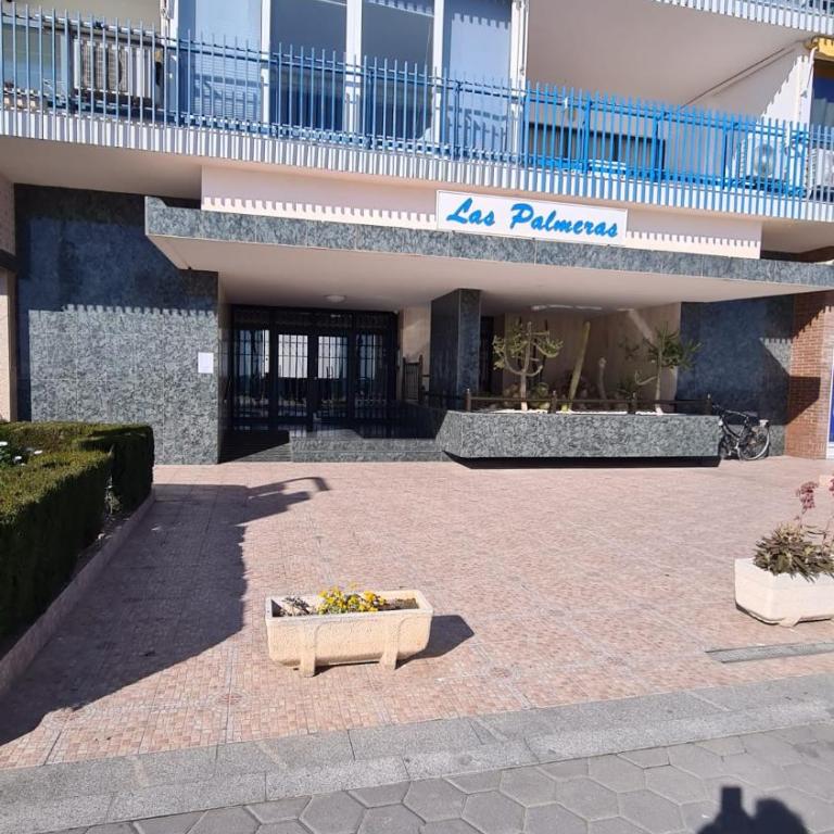 Estudio Las Palmeras 12 IF Benidorm - Apartment - 14