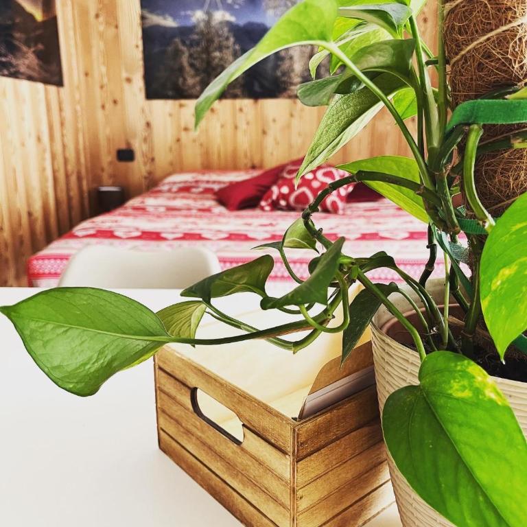 Residenze Vezza - La Corteccia- - Appartamento con 1 Camera da Letto - 24