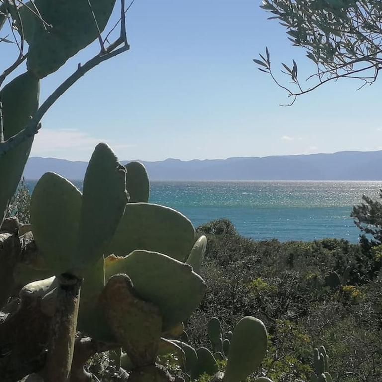 Splendida villa in riva al mare- - Villa Fronte Spiaggia - 52