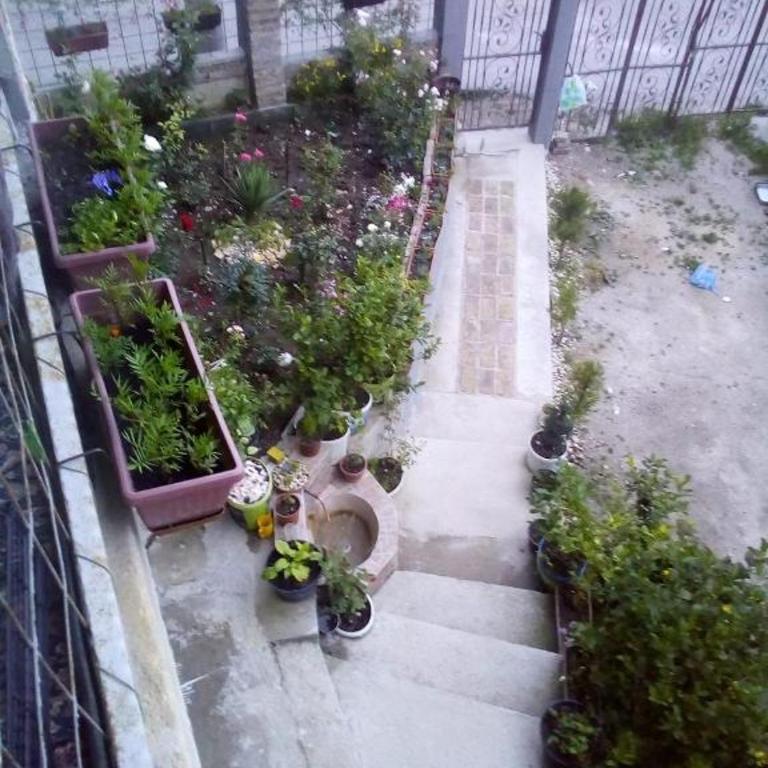 Apartman Turkana 2 - Apartman - Prizemlje - 9