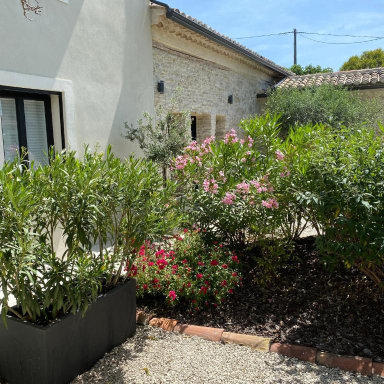 Gîte Le mas des Gypières à l'Isle-sur-la-sorgue - Maison 1 Chambre - 14