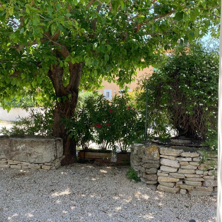 Gîte Le mas des Gypières à l'Isle-sur-la-sorgue - Maison 1 Chambre - 15