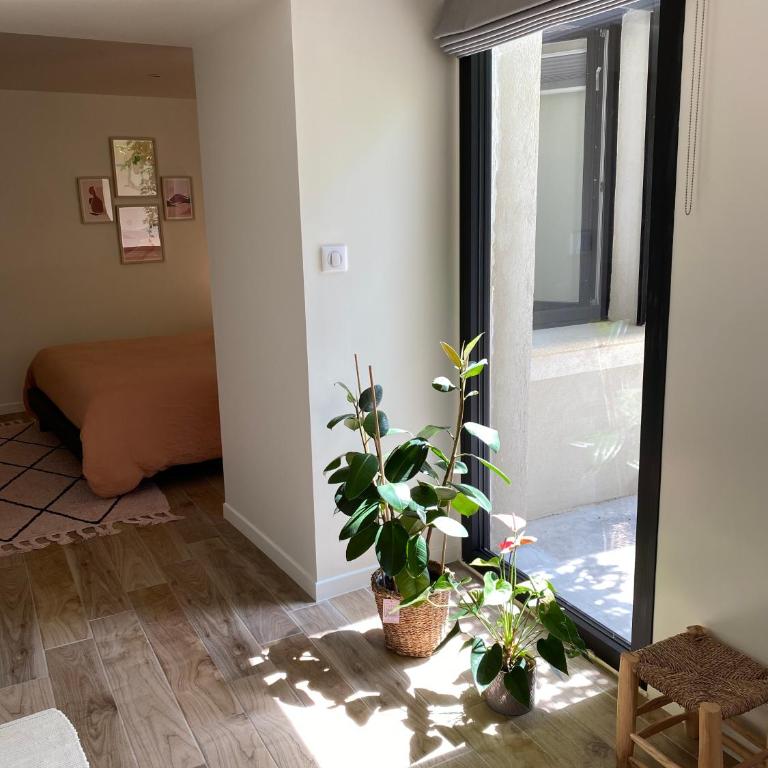 Gîte Le mas des Gypières à l'Isle-sur-la-sorgue - Maison 1 Chambre - 25