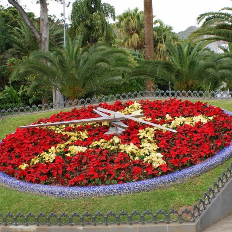 Santa Cruz de Tenerife Toscal, Free Parking gratis - Apartamento - 35