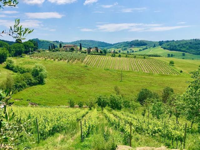 Vittoria Chianti Vacations - Appartamento con 2 Camere da Letto - 95