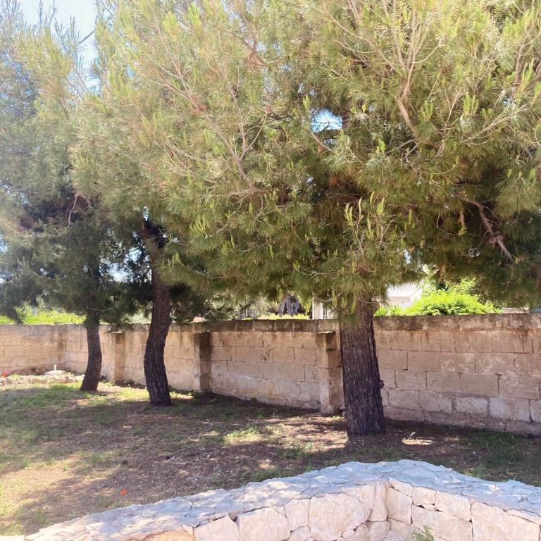 La Racioppola - Casa con 2 Camere da Letto - 22