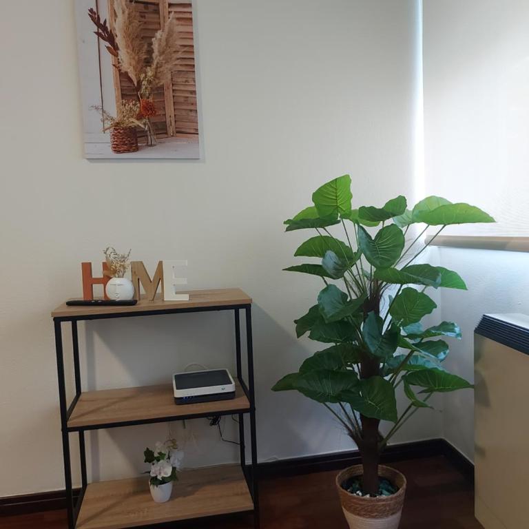 La Cabaña - Apartamento Estudio - 11
