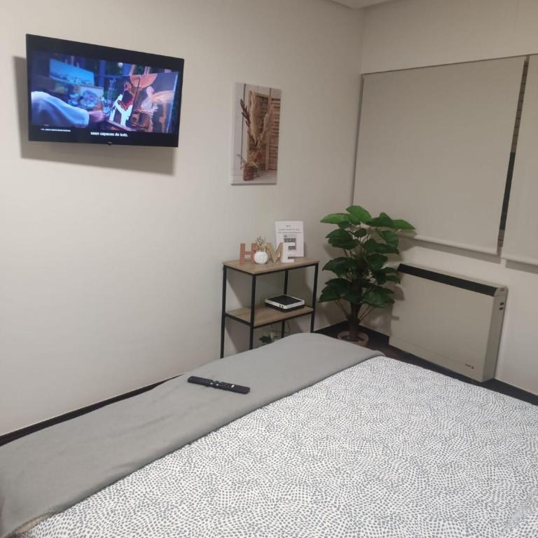 La Cabaña - Apartamento Estudio - 14