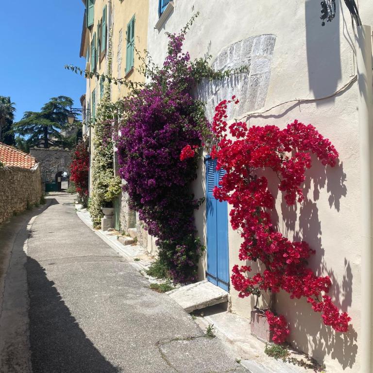 La Suite Sainte Claire - Suite - 17