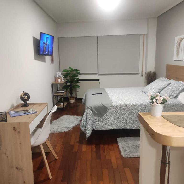 La Cabaña - Apartamento Estudio - 19
