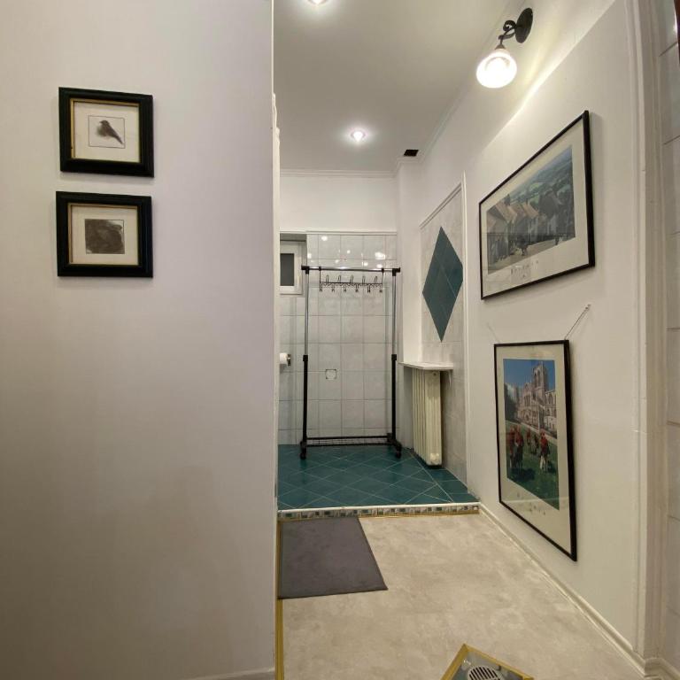 Apartmani Maximus - Standardni Studio - 8