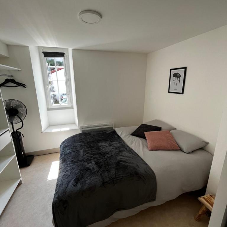 Txoko Ttipia - Apartamento de 2 dormitorios - 2