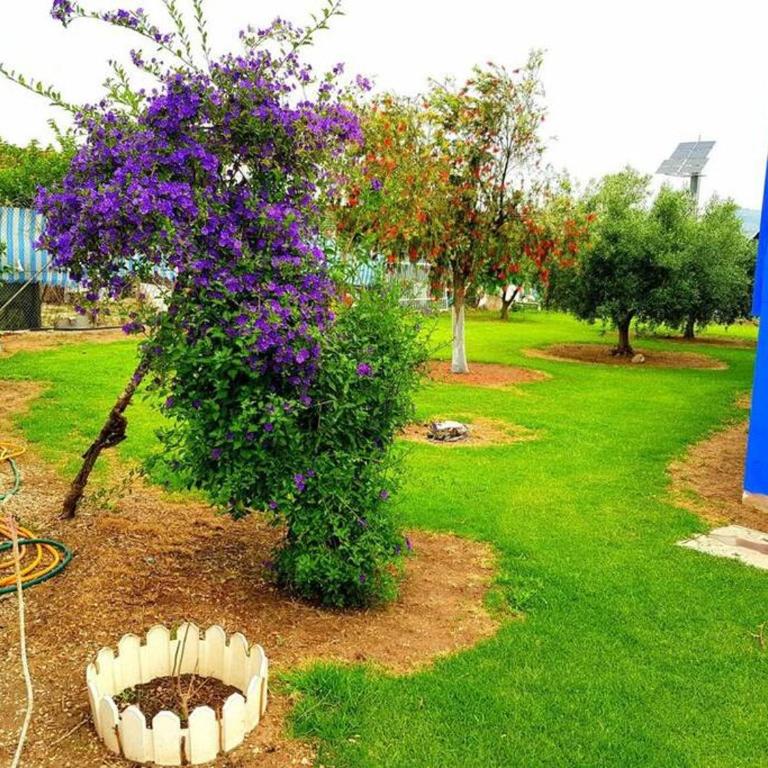 Casa Con Piscina Privada Marenyet - Five-Bedroom House - 9