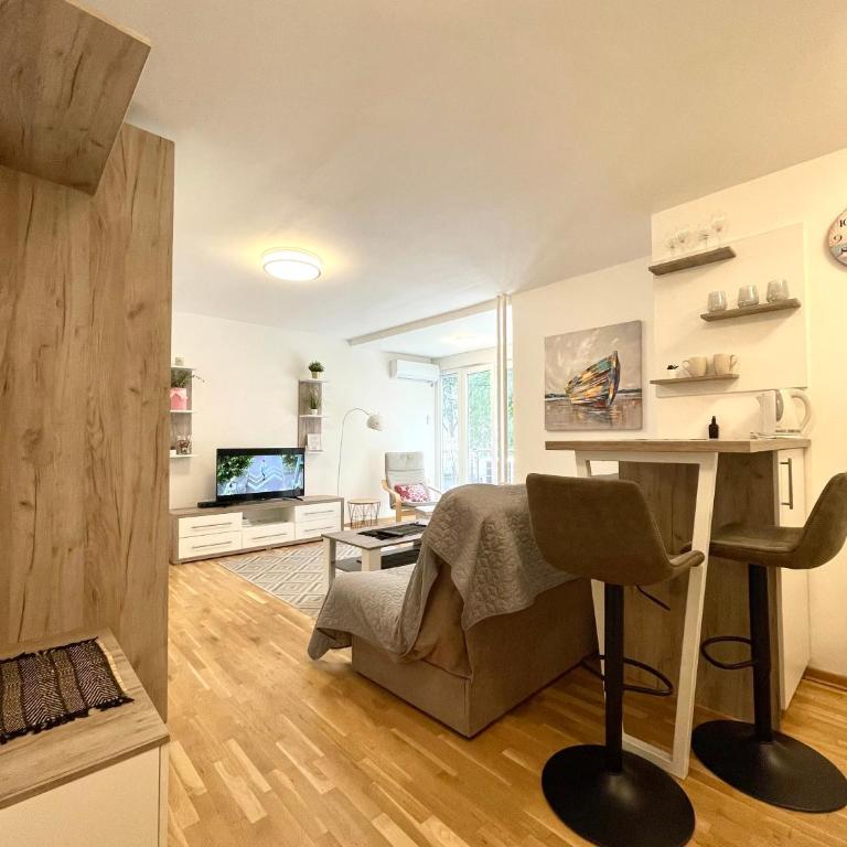 Alma Vracar - Apartman sa 1 Spavaćom Sobom - 9