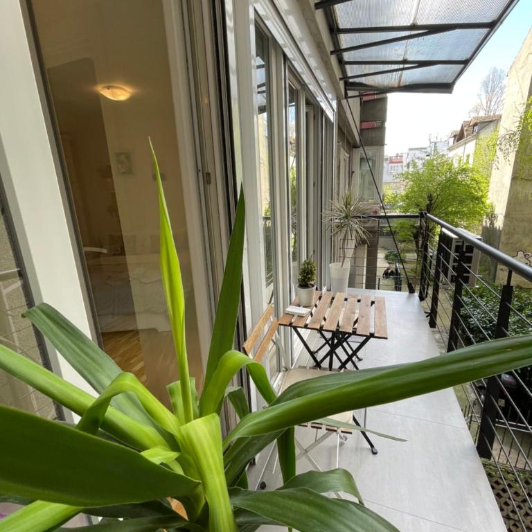 Alma Vracar - Apartman sa 1 Spavaćom Sobom - 54