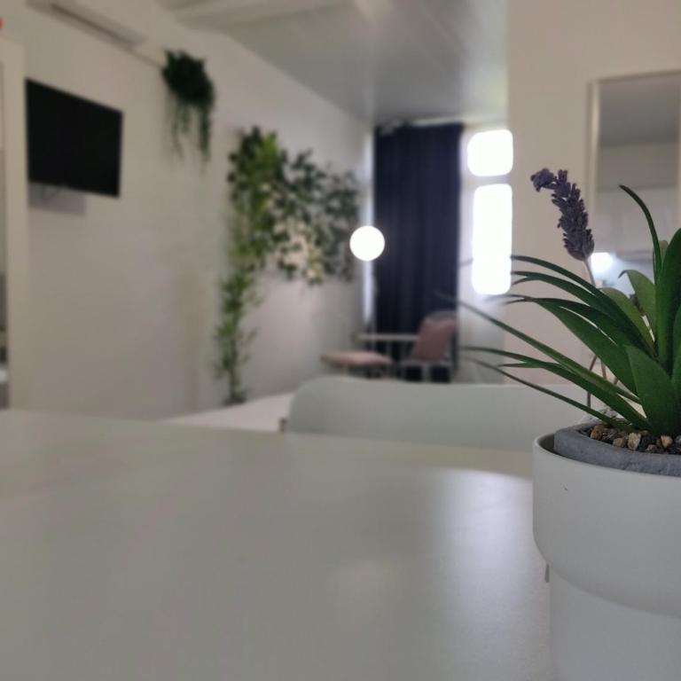 Drago - Costa Del Silencio Tenerife - Apartamento Estudio - 5
