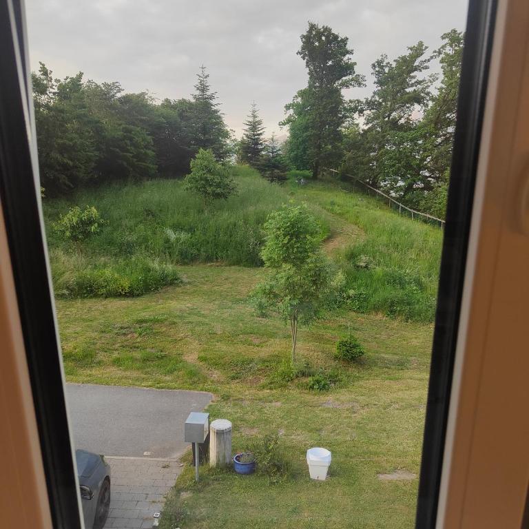 Chambre Zen Et Calme - Suite mit Gartenblick - 3