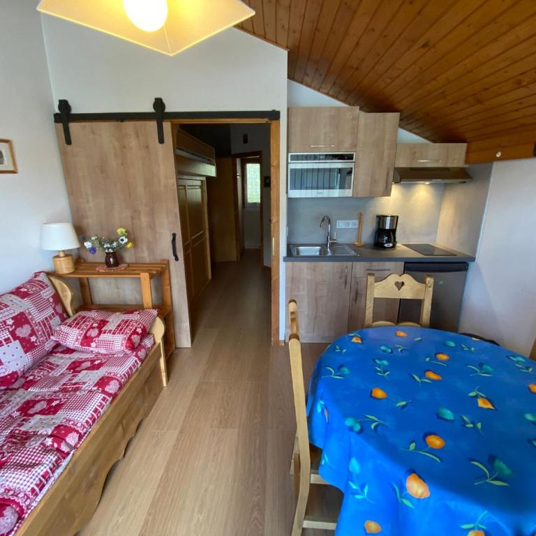 Charmant appartement à Châtel près des pistes et du lac, avec balcon - 25m², parking inclus - FR-1-693-43 - Studio - 8