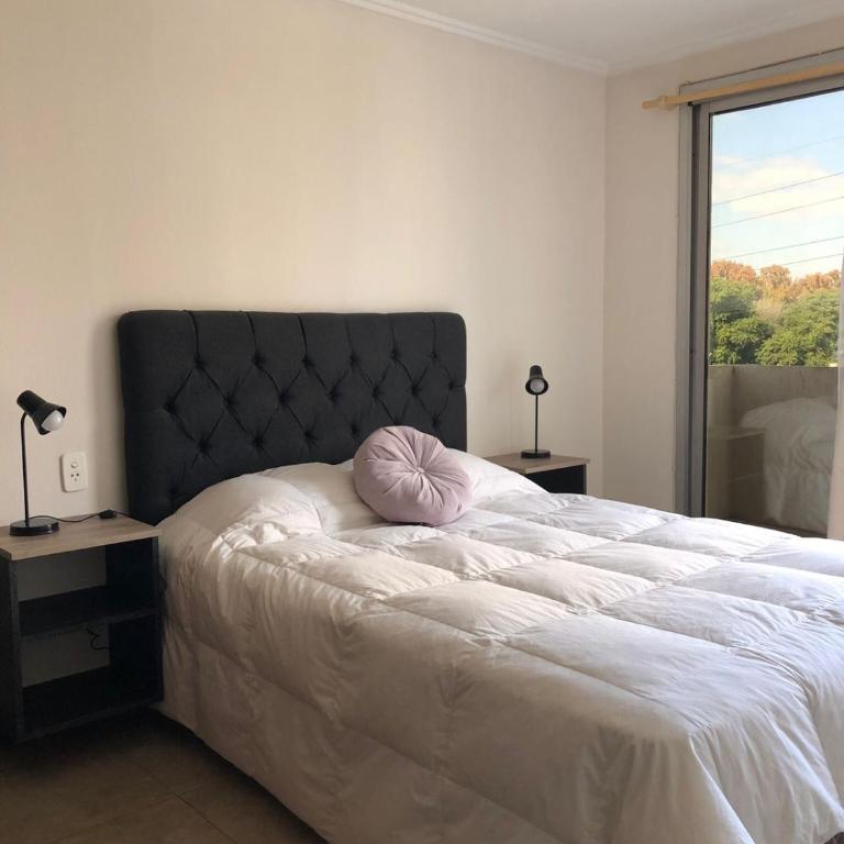 Amplio departamento en quinta sección - Apartamento de 1 dormitorio - 1