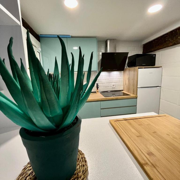 AtuaireHome El Martinillo en pleno centro histórico de Burgos - Apartamento de 2 dormitorios - 1