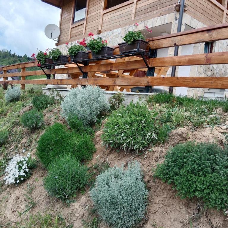 Zaovinska Panorama I - Apartman sa 1 Spavaćom Sobom - 32