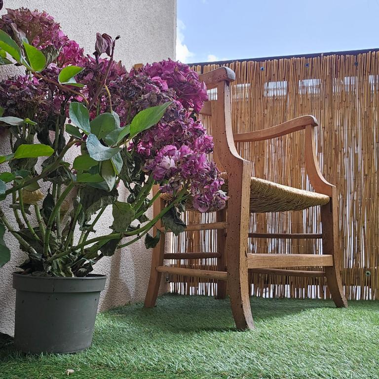 Appartement centre-ville - Appartement 1 Chambre - 14