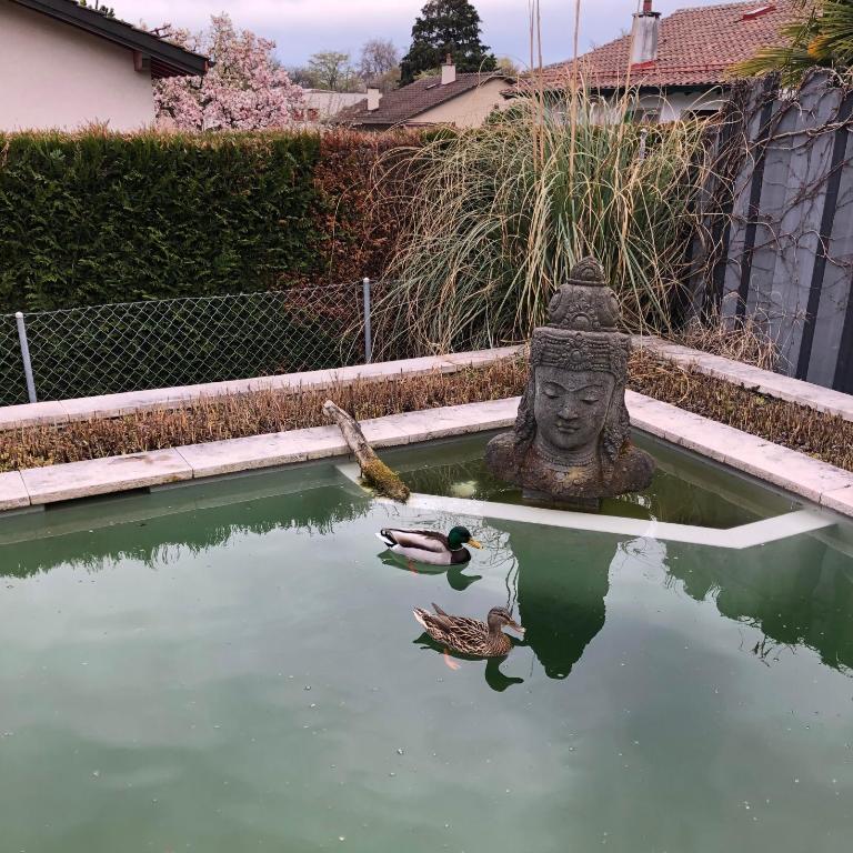 Olympia by the lake - Apartment mit 1 Schlafzimmer - 9