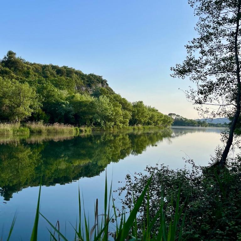 Appartement Harmonie T2-Climatisation, grand Jardin & Parking privé au calme - Apartamento de 1 dormitorio - 49