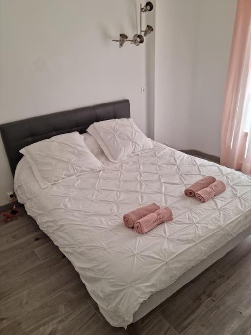 Appartement 2 pieces - Appartement 1 Chambre - 50
