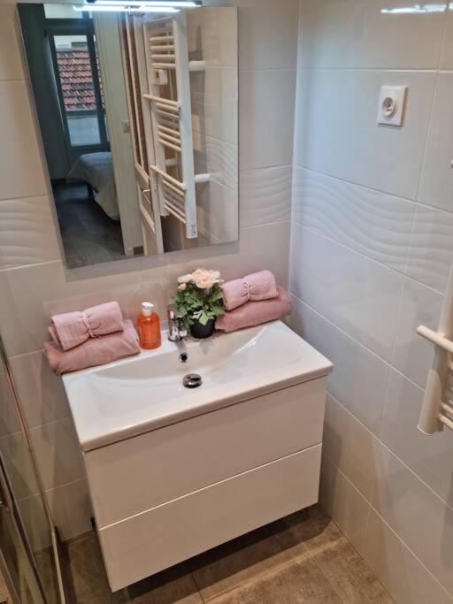 Appartement 2 pieces - Appartement 1 Chambre - 55