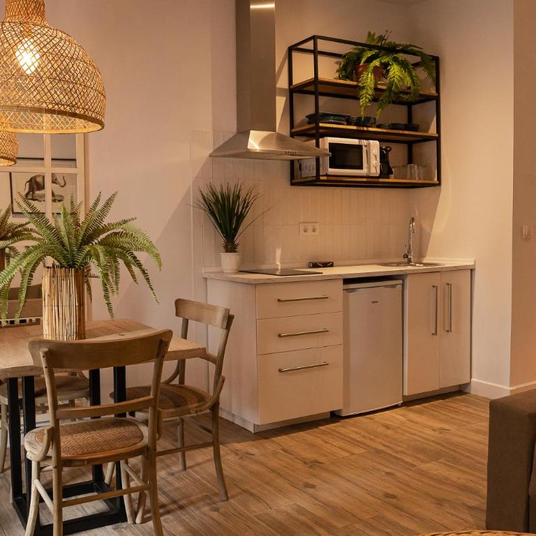 Loft Deluxe Herrería 6 - Vivienda Vacacional. - Apartamento de 1 dormitorio - 2