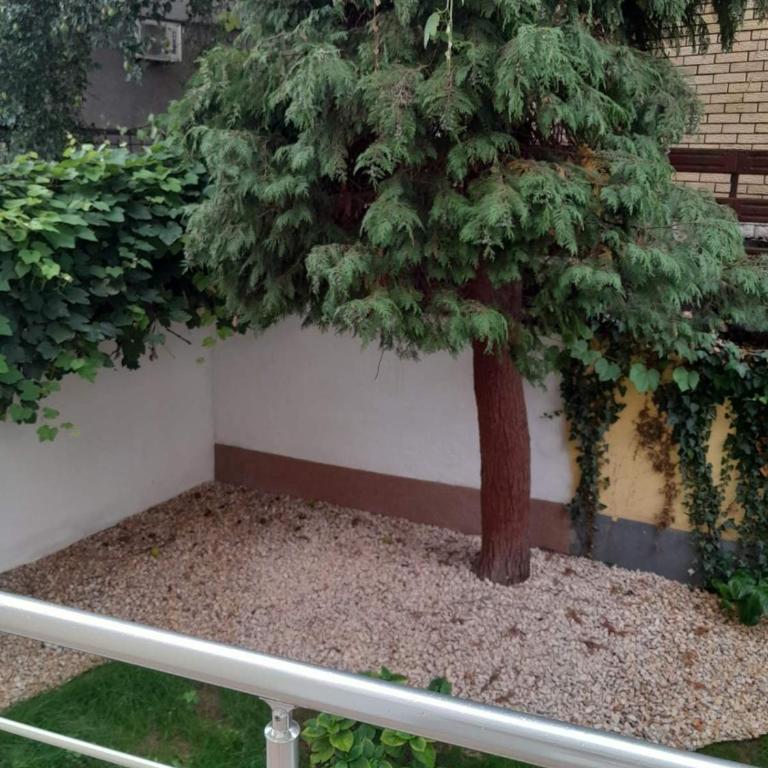 Vilin kutak - Apartman sa 1 Spavaćom Sobom - 20