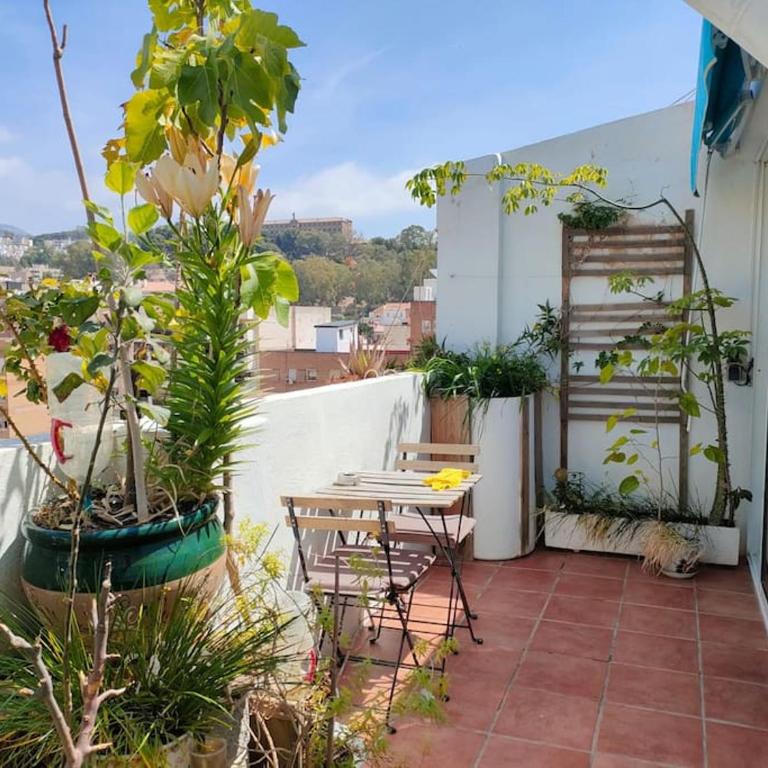 Penthouse Terrace - Apartamento de 1 dormitorio - 3