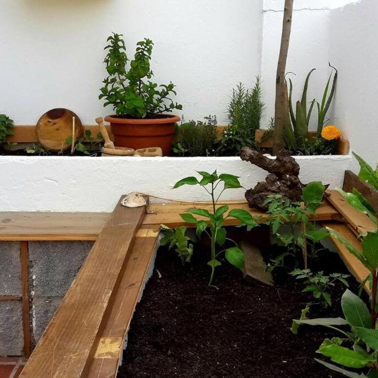 Penthouse Terrace - Apartamento de 1 dormitorio - 32
