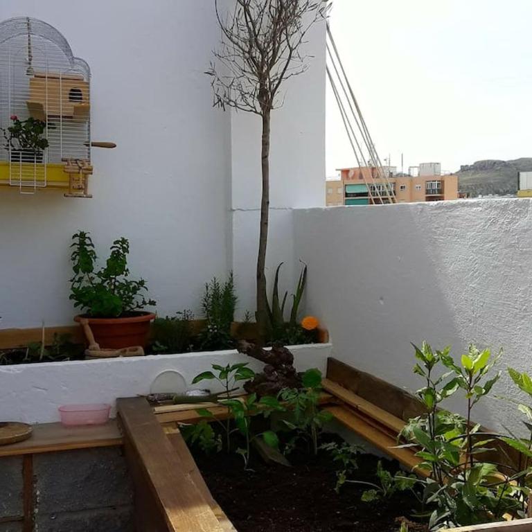 Penthouse Terrace - Apartamento de 1 dormitorio - 44