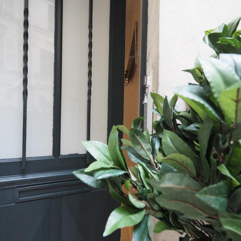Saint Germain Elegant ChicSuites - Apartment - Erdgeschoss - 16
