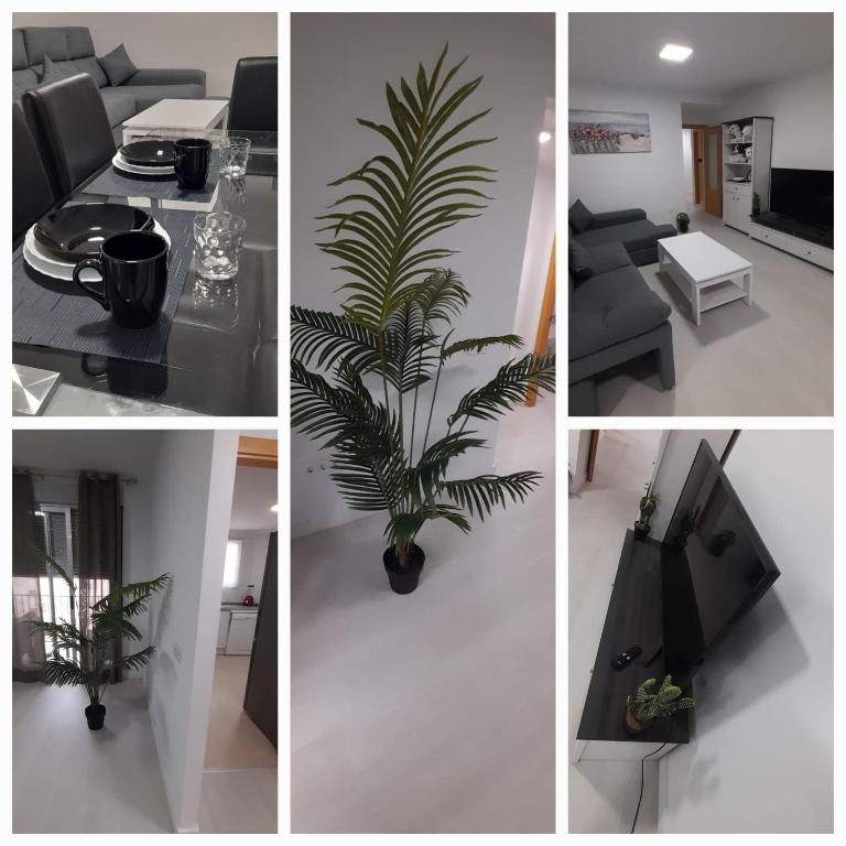 apartaluxdenia - Apartamento de 3 dormitorios - 8