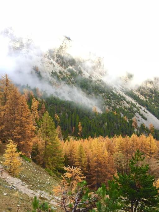 Relax in montagna - Family Studio - 31
