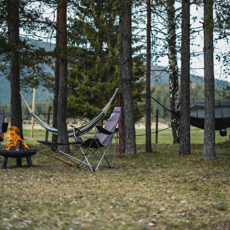 Apartman Djokovic - One-Bedroom Chalet - 5