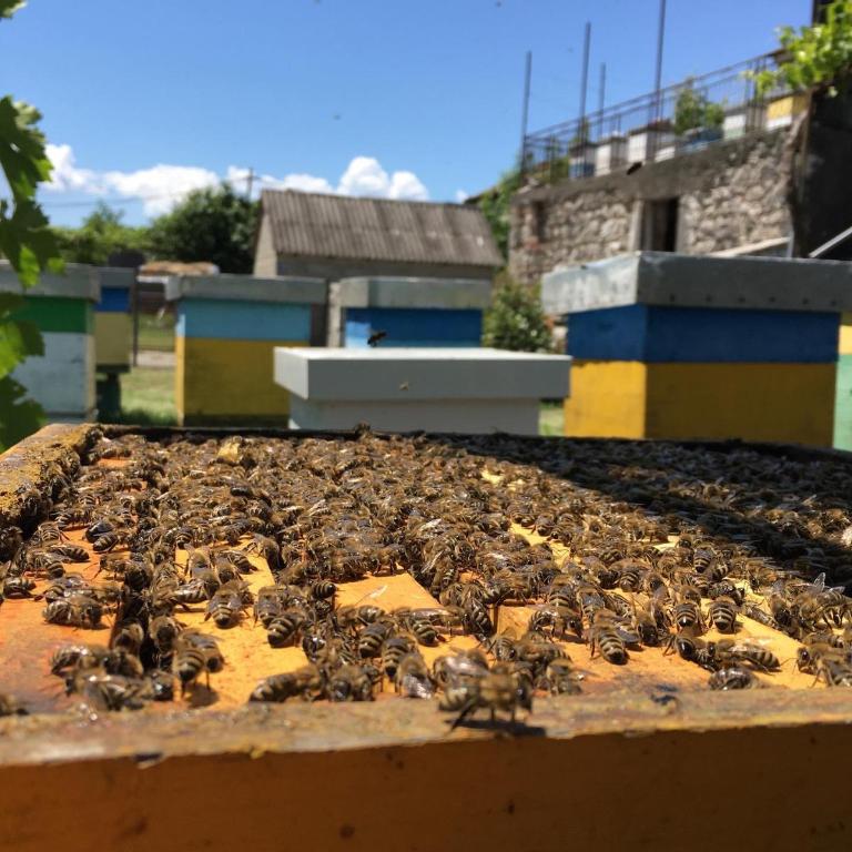 Honey Home - Apartman sa 1 Spavaćom Sobom - 8