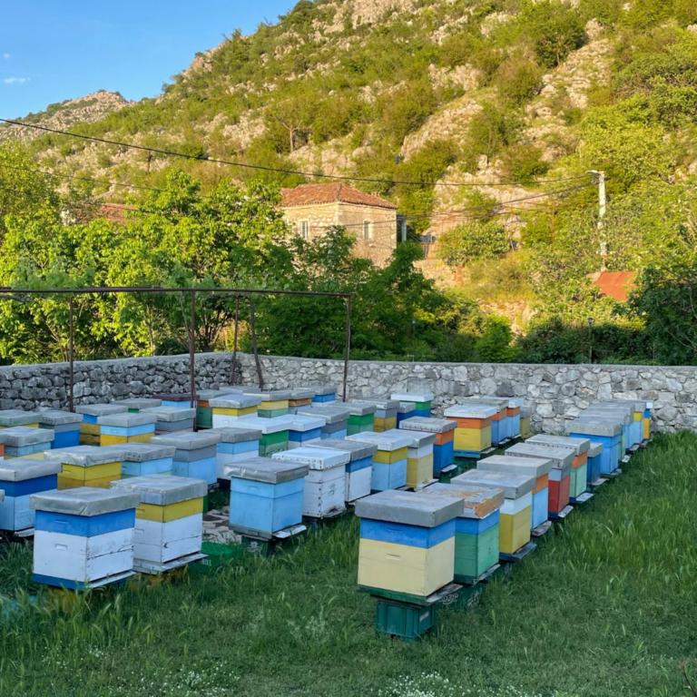 Honey Home - Apartman sa 1 Spavaćom Sobom - 9