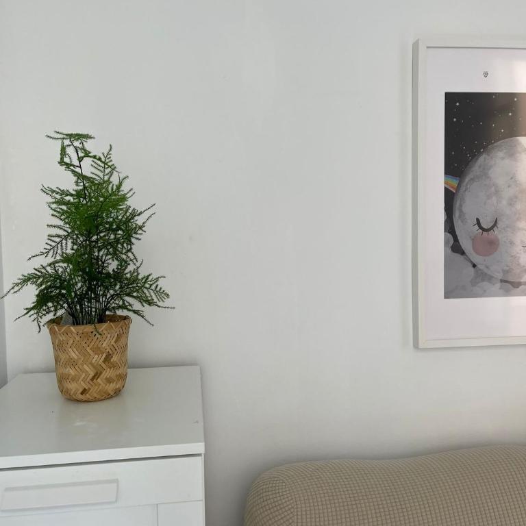Apartamento Ancha del Carmen - Apartamento de 1 dormitorio - 6