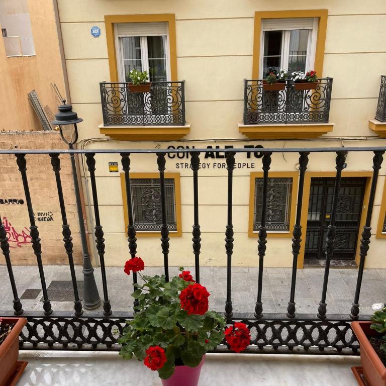 Apartamento Ancha del Carmen - Apartamento de 1 dormitorio - 13