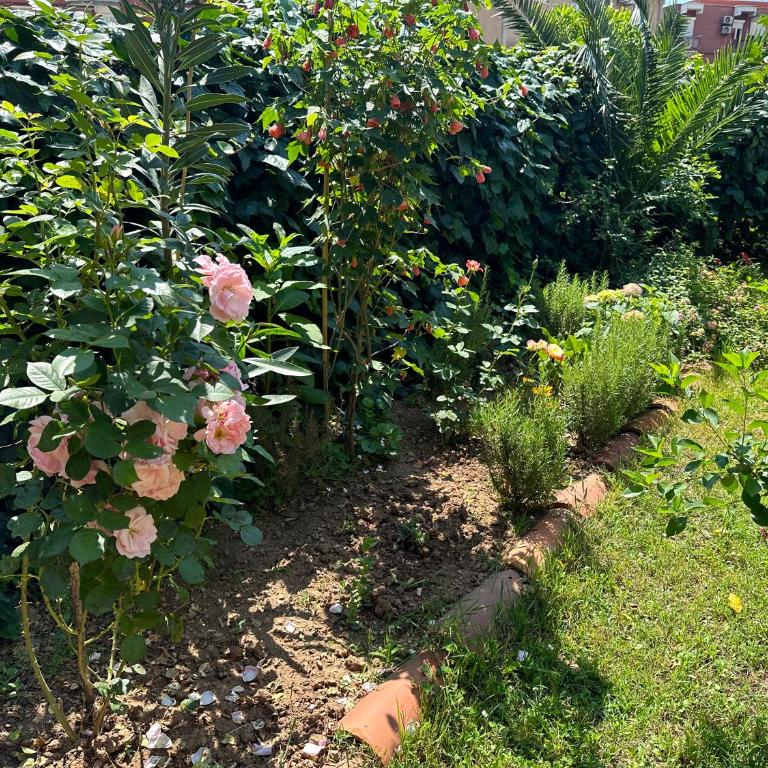 Holiday Home Vesna - Vikendica - 8