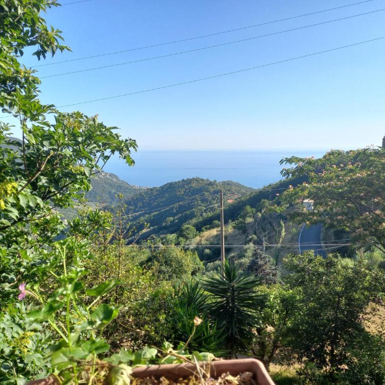 Cinque Terre & Portofino Lodge-Dependance Bracco - Appartamento con 2 Camere da Letto - 28