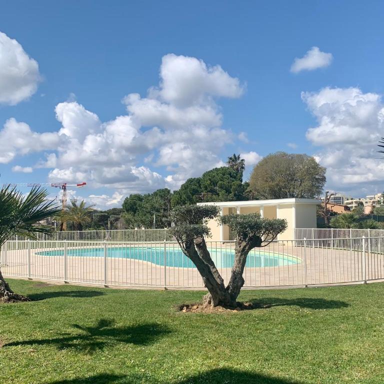 Joli studio climatisé avec Jardin dans résidence avec piscine mecalineloc - Monolocale Matrimoniale Deluxe - 12