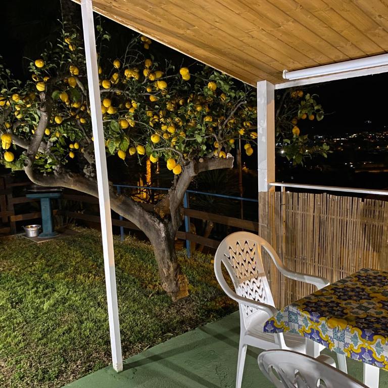 Albizia, casevacanza - Appartamento con Vista Mare - 18