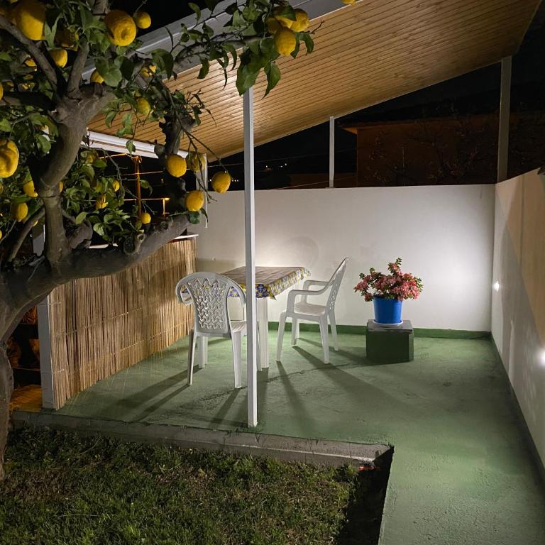 Albizia, casevacanza - Appartamento con Vista Mare - 17